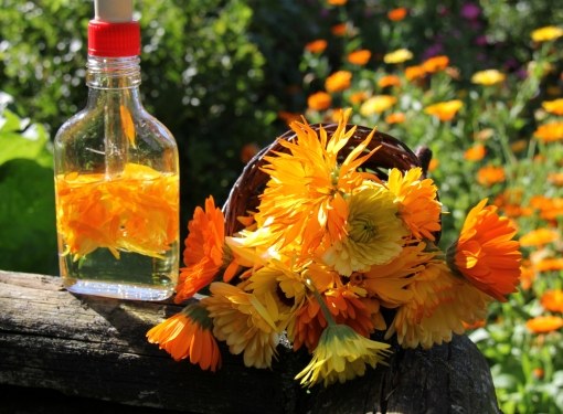 Calendulaens tinktur är en verklig panacea för alla som har hudproblem. Dess sammansättning är enkel - Calendula blommor, infunderad med alkohol