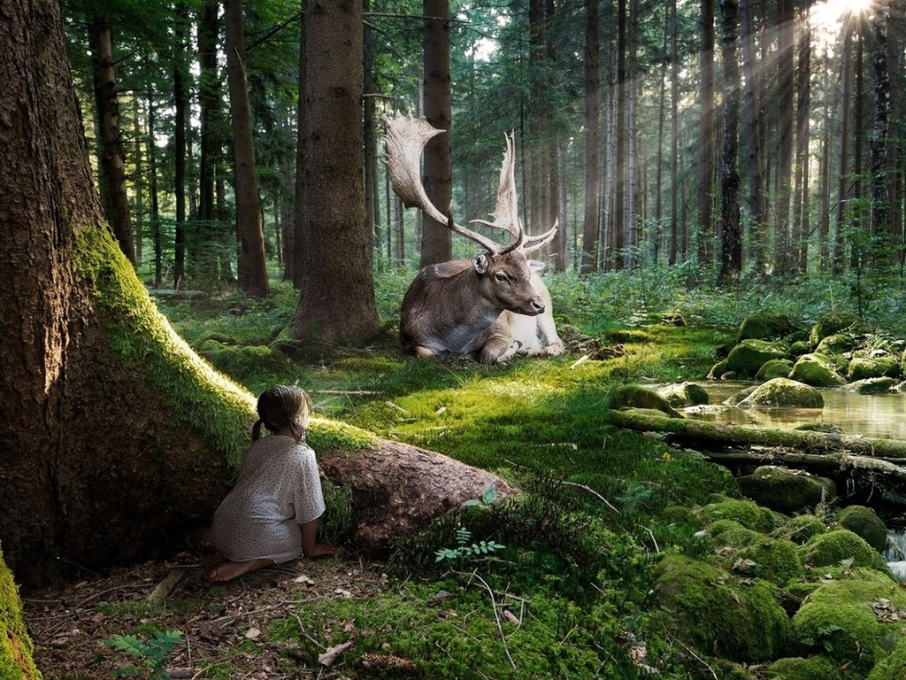 Tips 1: Varför människor inte skyddar naturen