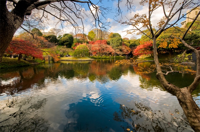 Tips 1: Hur man skapar en trädgård i japansk stil