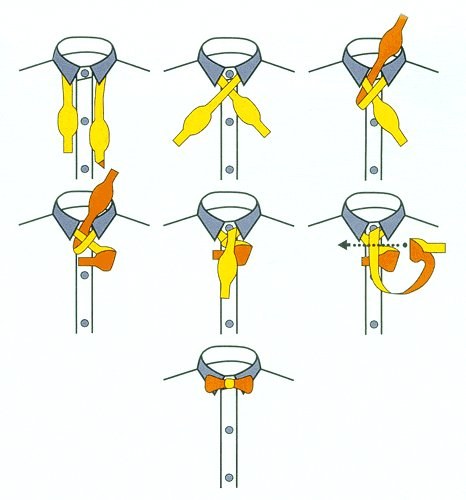 Bågslips - Bindningsstadier