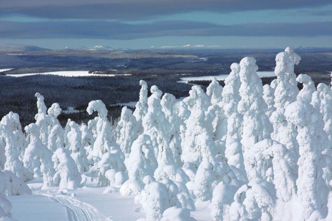 Hur många snö har du?