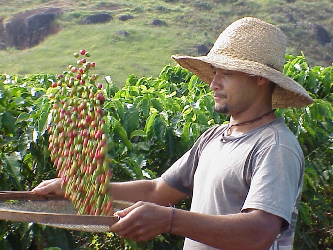 Ekonomin i Colombia: grundläggande information