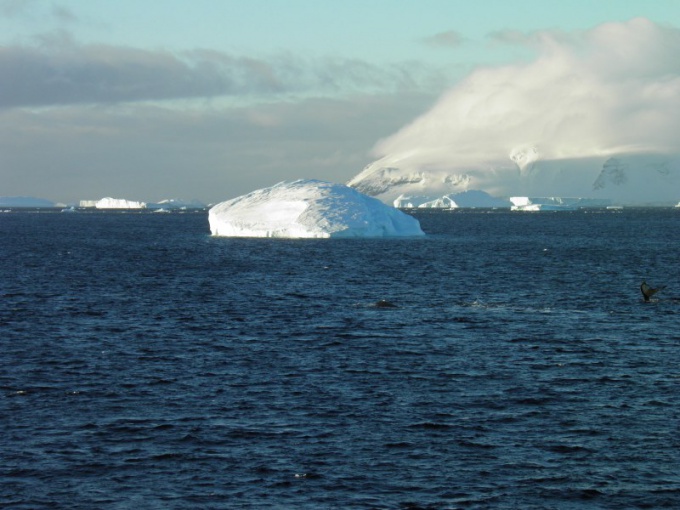 Var i världen är det renaste havet